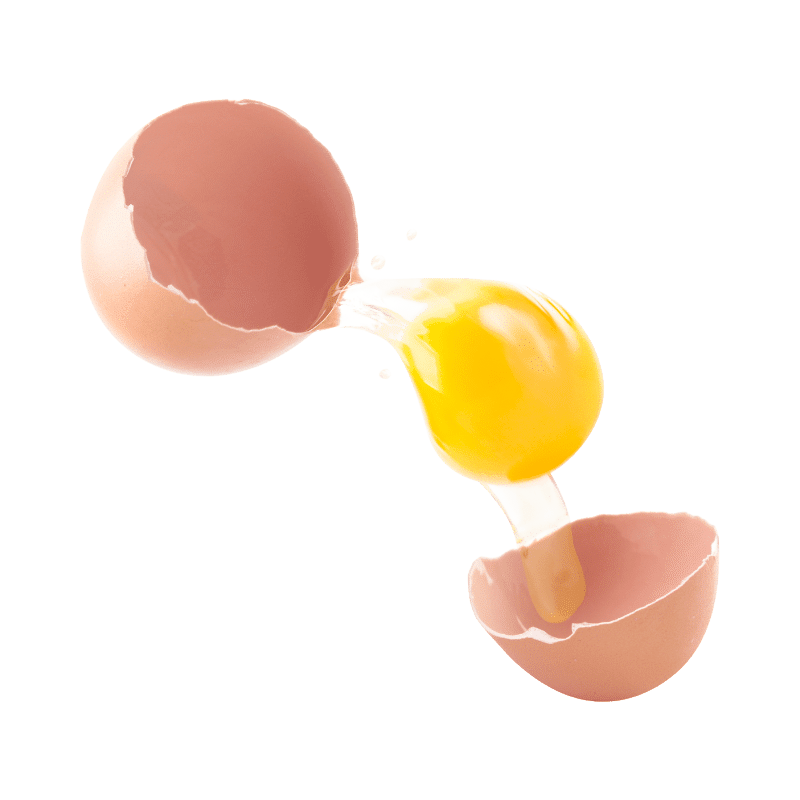 Benefits of Egg Yolk Cube Freeze Dried, Egg Yolk Freeze Dried Treats