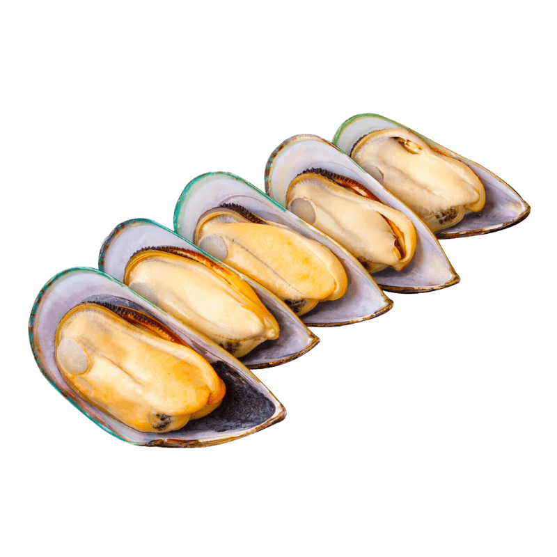Ingredient of Ocean Feast Freeze Dried Pet Food, green-lipped mussel