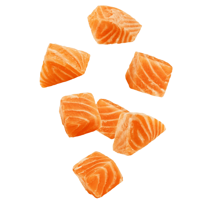 Premium USA Alaskan Salmon, Ingredient of Ocean Feast Freeze Dried Pet Food, and Salmon Cube Freeze Dried